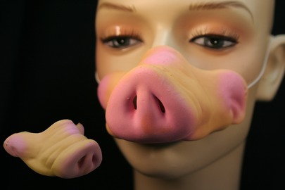 Schweine-Nase Tier Ferkel Karneval Fasching Schwein Bauer
