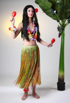 Bastrock Rock Hawaii Karibische Nacht Karneval