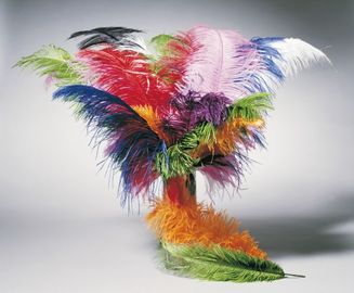 Feder 20er Jahre Charleston Karneval Fasching 50-60 cm