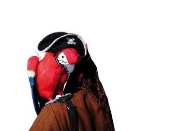 Papagei mit Piratenhut und Gurt für die Schulter Pirat