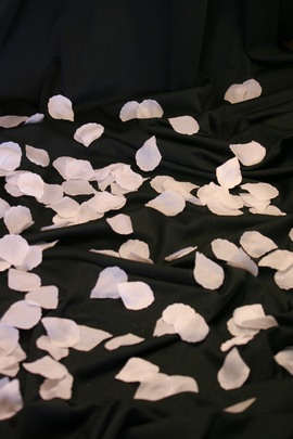 144 weiße Rosenblätter Streublüten Dekoration Hochzeit Tischdeko