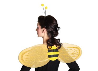 Bienenset: Bienenflügel, Kopfbügel mit Fühlern Biene Flügel Humm