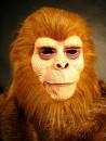 Affe Maske Karneval Fasching Tierwelt