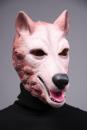 Wolf Maske Wolfsmaske Halloween Karneval Fasching