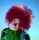 Kobold Perücke Kinder Karneval Fasching
