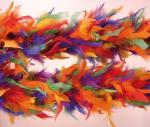 bunte Charleston Federboa 20er Jahre Feder Boa