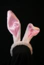 Megagroße weiß rosane Hasenohren Bunny 25 cm lang