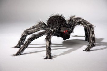 haarige schwarze Spinne Tier Halloween Dekoration Horror