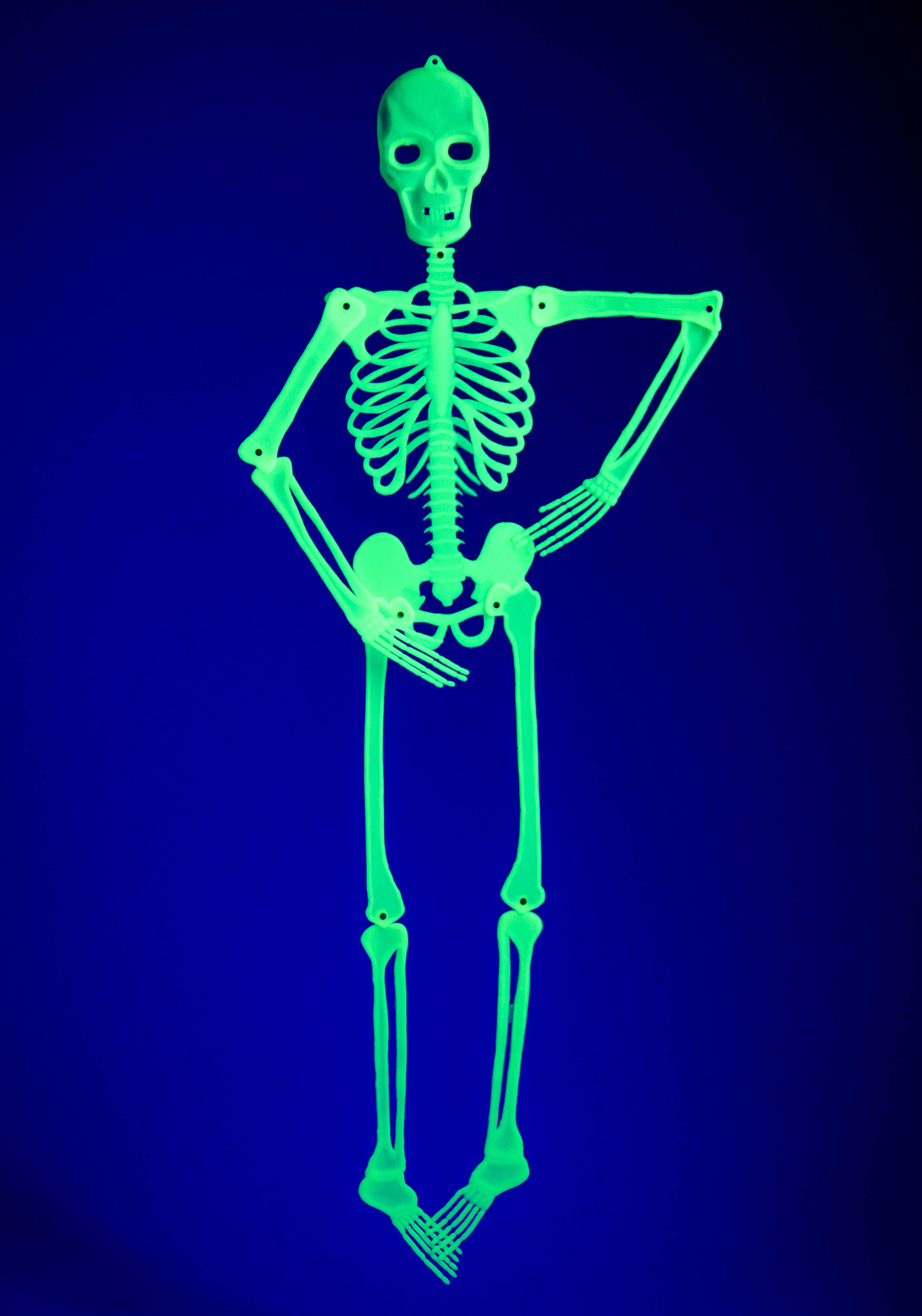 leuchtendes Skelett Halloween Dekoration Horror Grusel Party Geister 