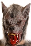 Werwolf Wolf Maske Wolfmaske Tier Karneval Fasching Zombie Grusel