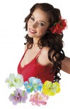 Blume auf Haarspange Clip Beachparty Hawaii untersch. Farben Karneval