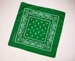 Bandana grünes Tuch Baumwolle Halstuch Kopftuch